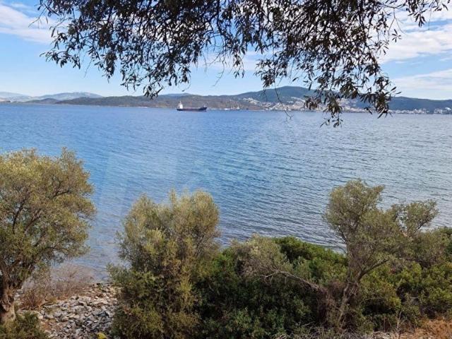 Milas, Muğla içerisinde satılık mülk