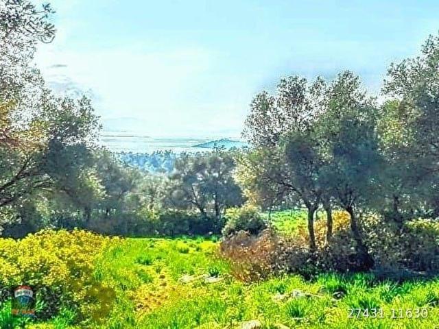 Milas, Muğla içerisinde satılık mülk