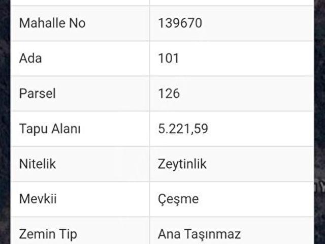 Milas, Muğla içerisinde satılık mülk