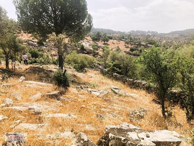 Milas, Muğla içerisinde satılık mülk