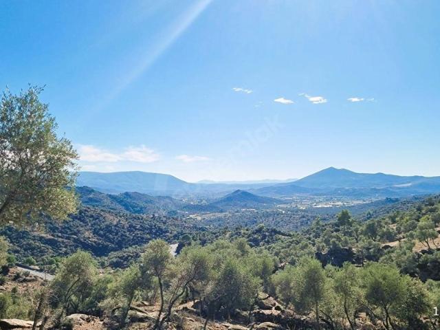Milas, Muğla içerisinde satılık mülk