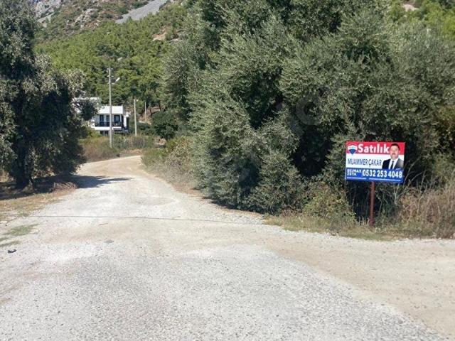 Milas, Muğla içerisinde satılık Dükkan