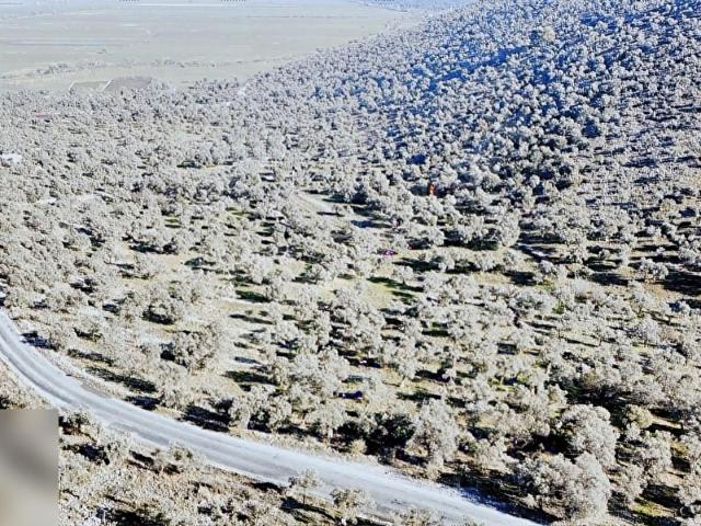 Milas, Muğla içerisinde satılık mülk