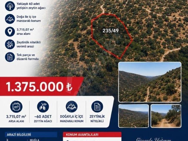 Milas, Muğla içerisinde satılık mülk