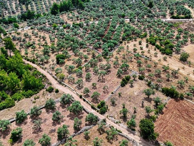 Milas, Muğla içerisinde satılık mülk
