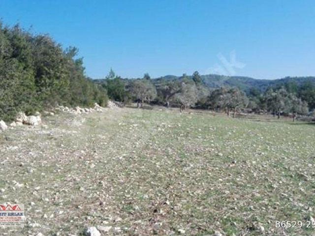 Milas, Muğla içerisinde satılık Arsa