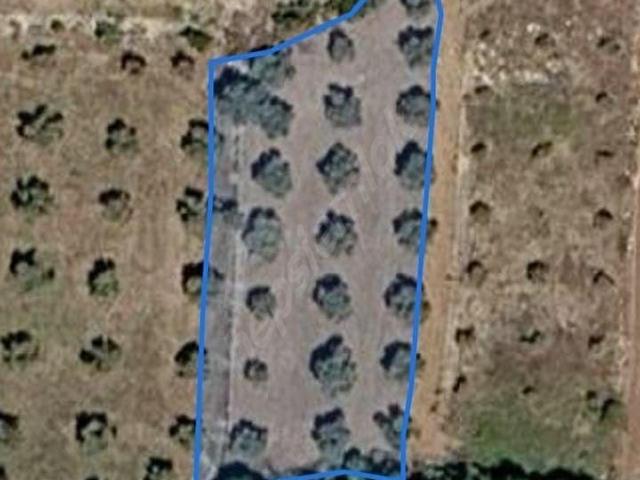 Milas, Muğla içerisinde satılık Arsa