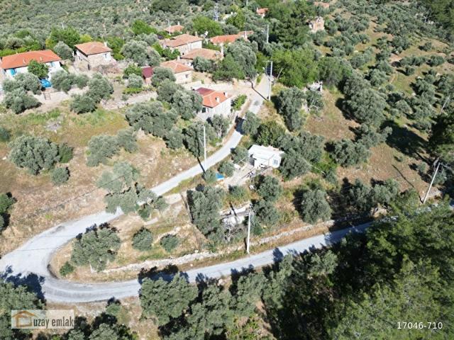 Milas, Muğla içerisinde satılık mülk