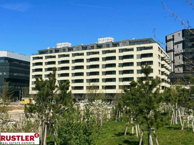 Wohnung kaufen in KG Inzersdorf Stadt, Wien