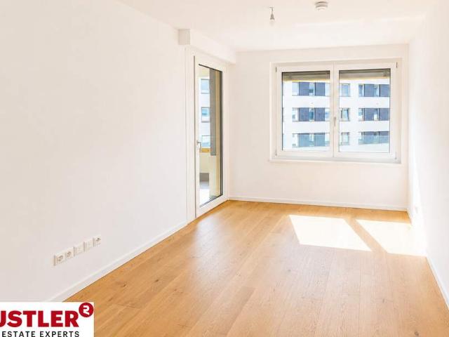 Wohnung kaufen in Wienerfeld, Wien