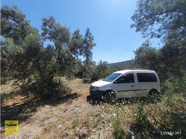 Bandirma, Balikesir içerisinde satılık mülk