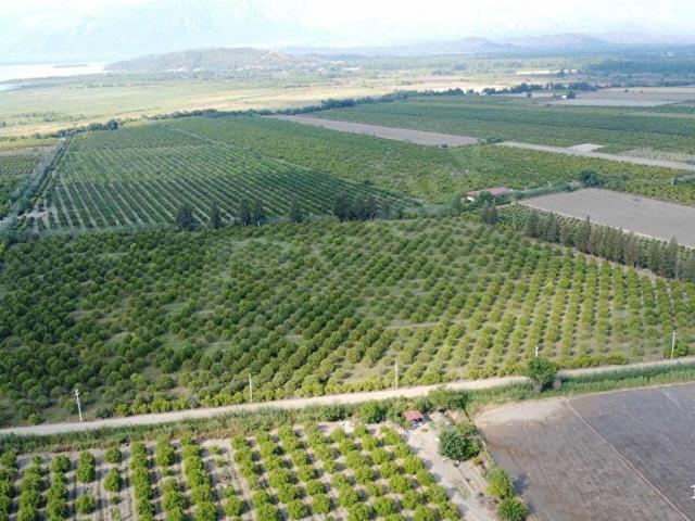 Ortaca, Muğla içerisinde satılık Arsa