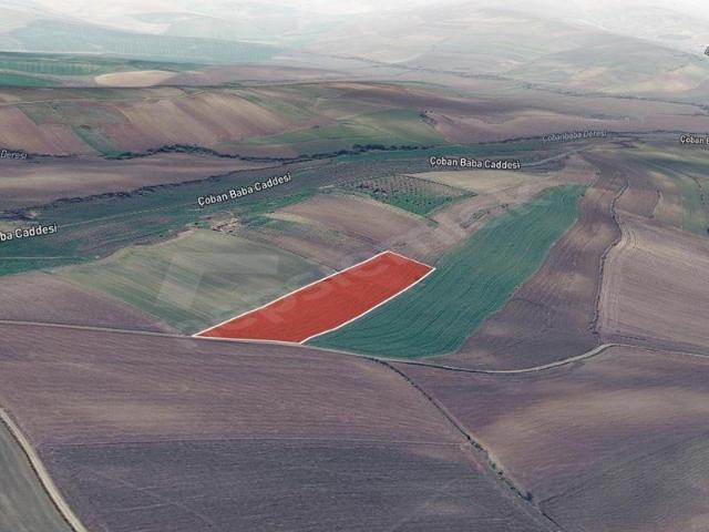 Kayı Mahallesi, Süleymanpaşa içerisinde satılık Arsa