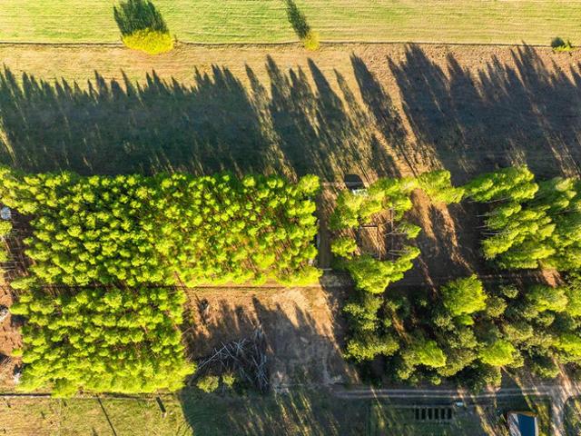 Grunt na sprzedaż w Mińsk Mazowiecki, Mazowieckie
