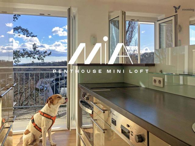 Apartment mieten in Währing, Wien