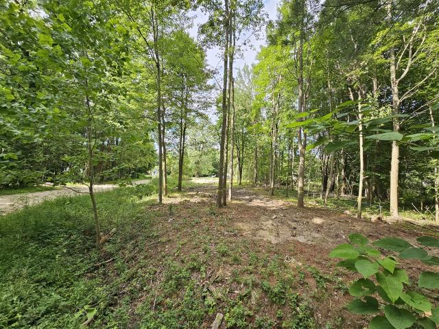 Land for sale in Michigan
