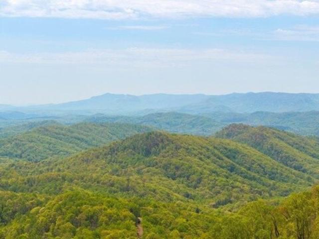 Land for sale in Landrum