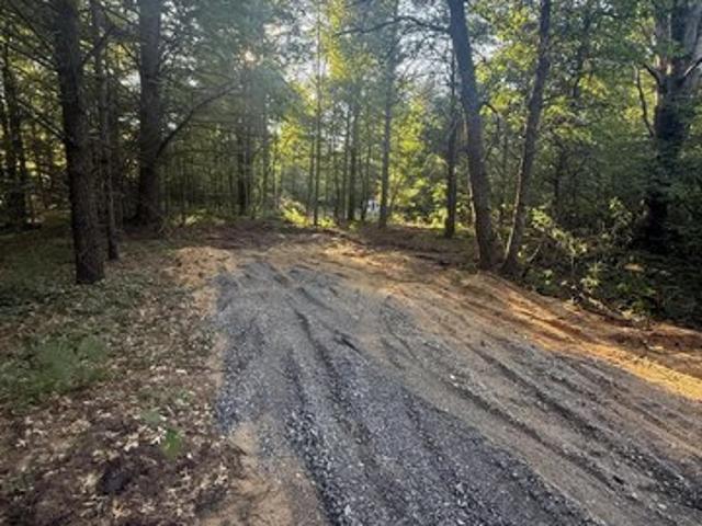 Land for sale in Alger, Michigan
