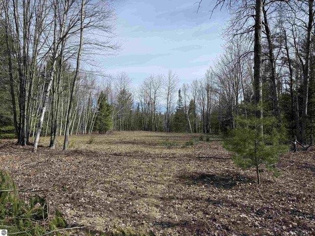 Land for sale in Mikado, Michigan