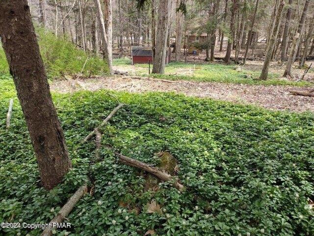 Land for sale in Pocono Lake Land for sale in Pocono Lake