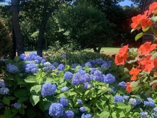 Condo for sale in Mashpee