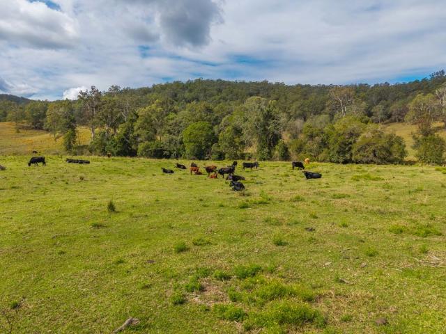 Property for sale in Burrapine, New South Wales