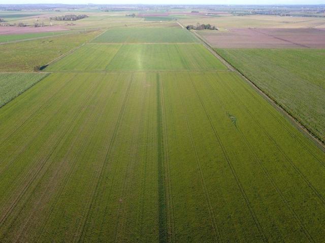Land for sale in East Coraki, New South Wales