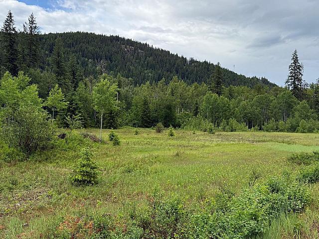 Land for sale in Barriere, British Columbia