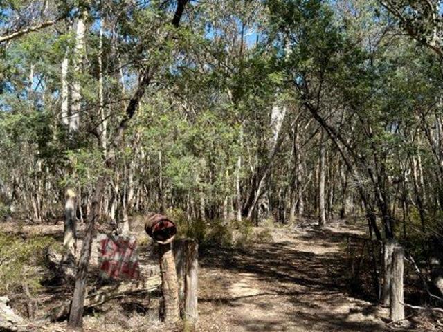 Land for sale in Hargraves, New South Wales