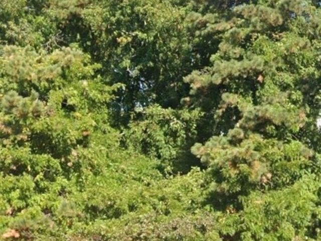 Land for sale in Ridge