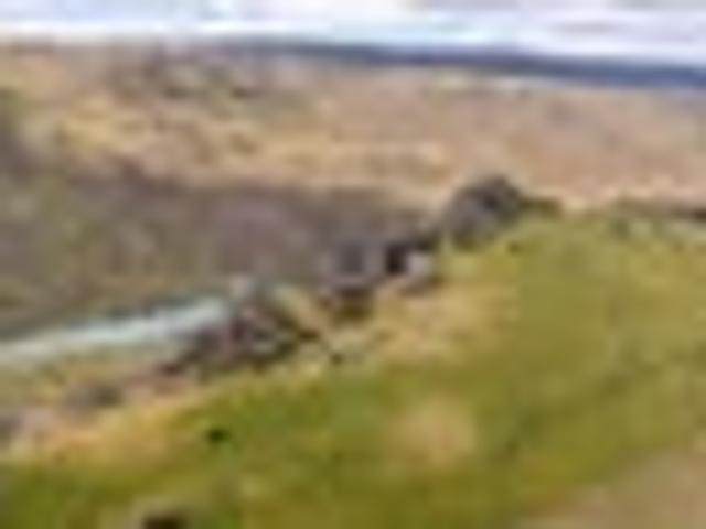 Land for sale in Otakou