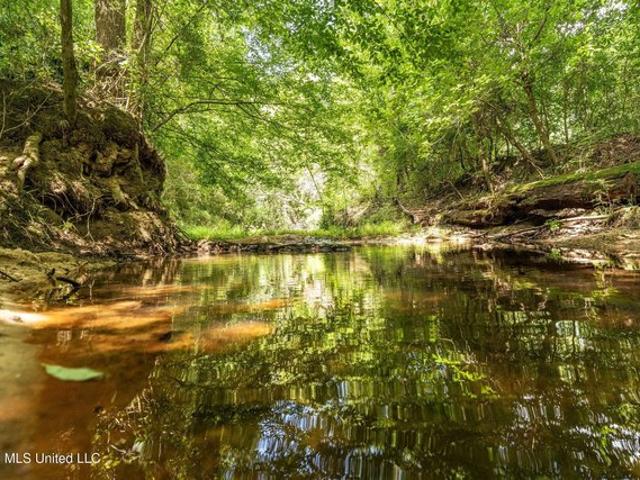 Land for sale in Magnolia, Mississippi