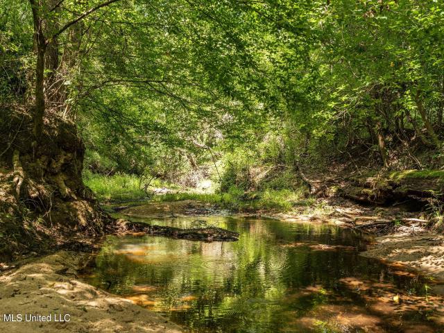 Land for sale in Magnolia, Mississippi