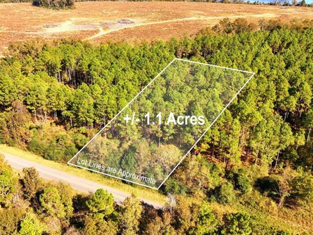 House for sale in Dodge, Georgia