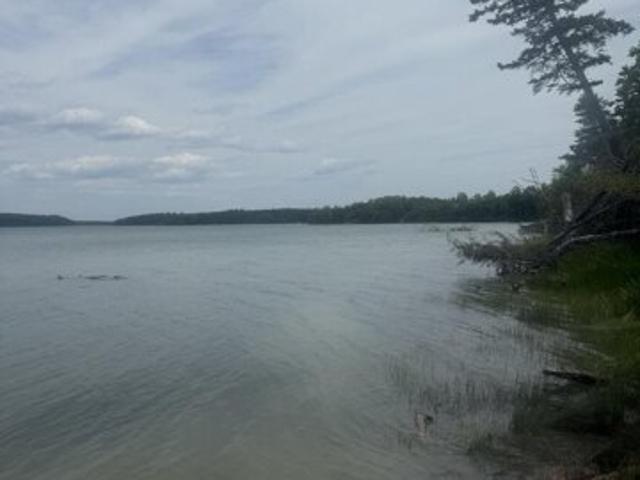 Land for sale in Jonesport, Maine