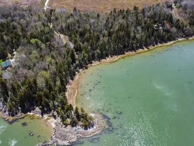 Land for sale in Jonesport, Maine