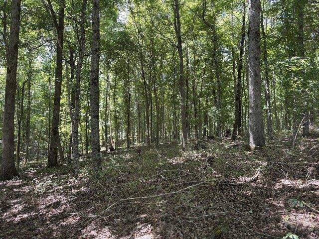 Land for sale in Tennessee