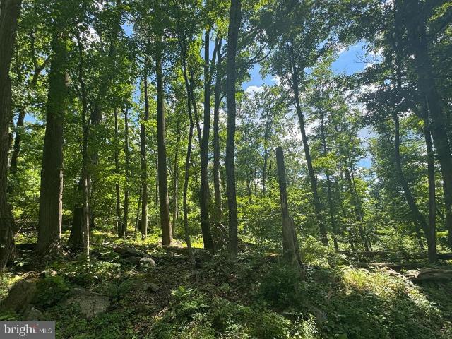Land for sale in Myersville, Maryland