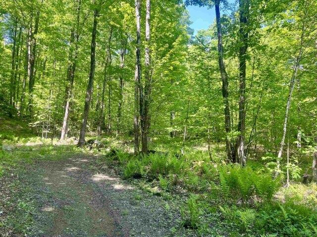 Land for sale in North Chittenden, Chittenden
