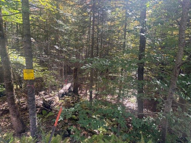 Land for sale in East New Portland, New Portland