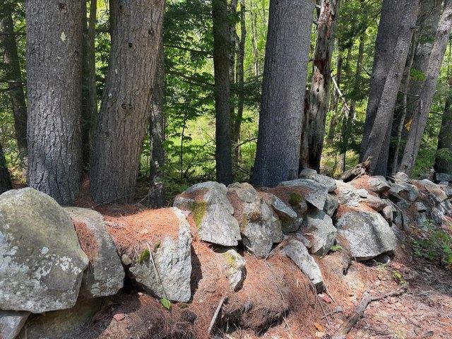 Land for sale in East Waterboro, Maine