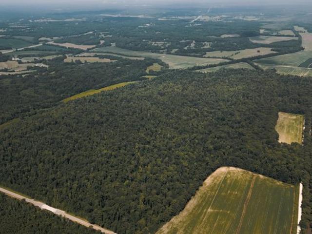 Land for sale in Tennessee