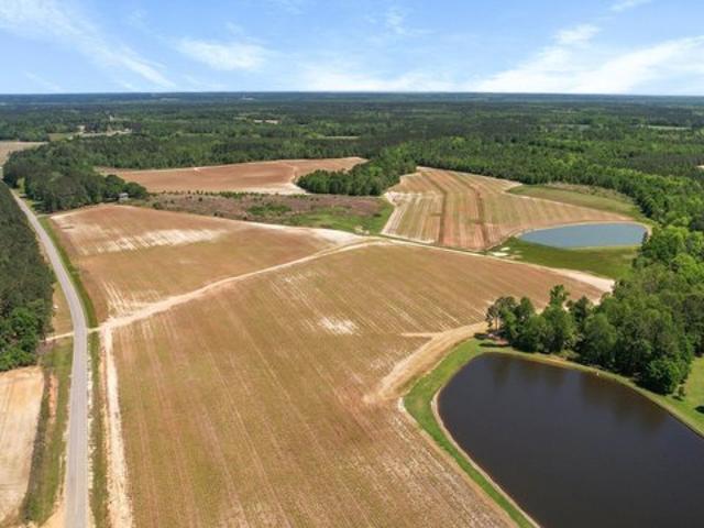Land for sale in Statesboro, Bulloch County