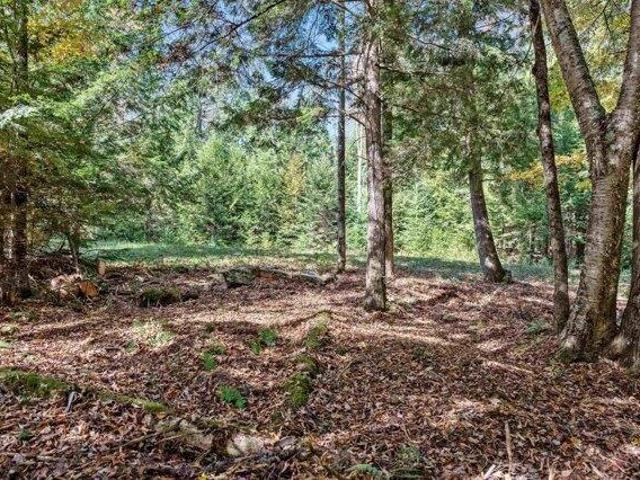 Land for sale in Vermont
