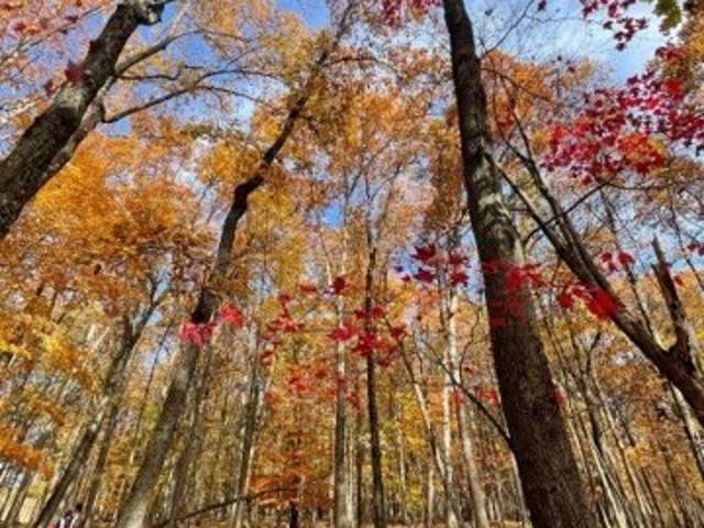 Land for sale in Stillwater, New Jersey