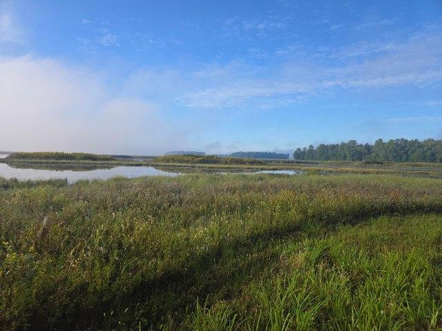 Land for sale in Mount Victory, Hardin County