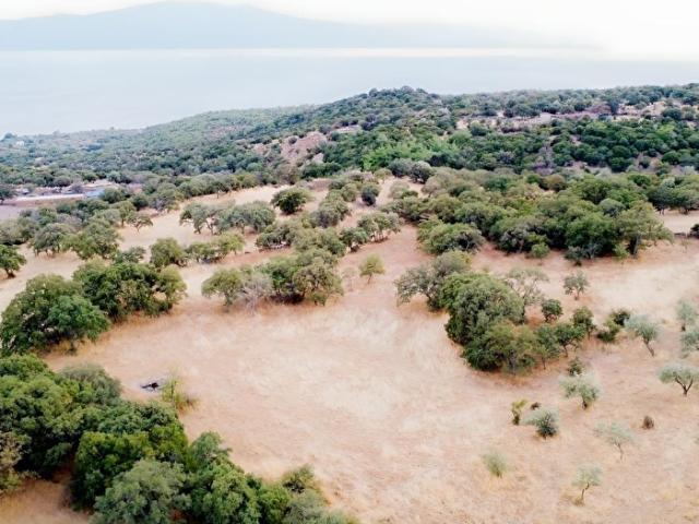 Ayvacik, Çanakkale içerisinde satılık Arsa