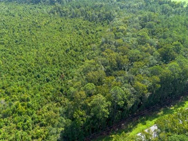 Land for sale in Guyton, Georgia