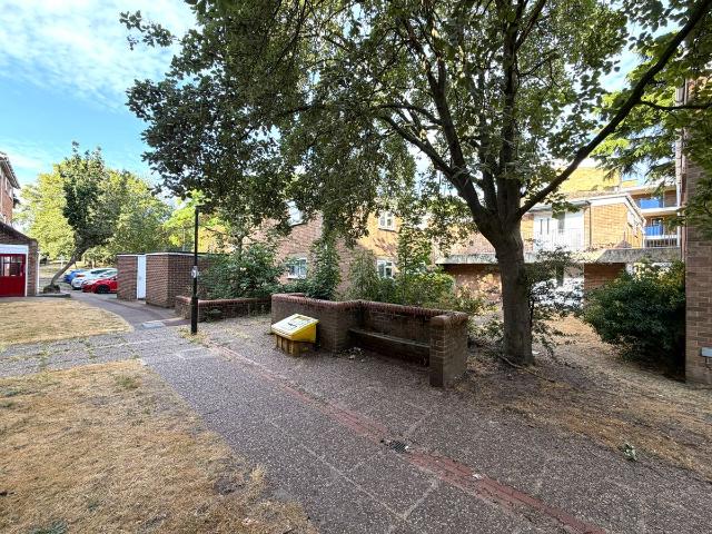 Apartment for rent in Heigham Grove, East Bank