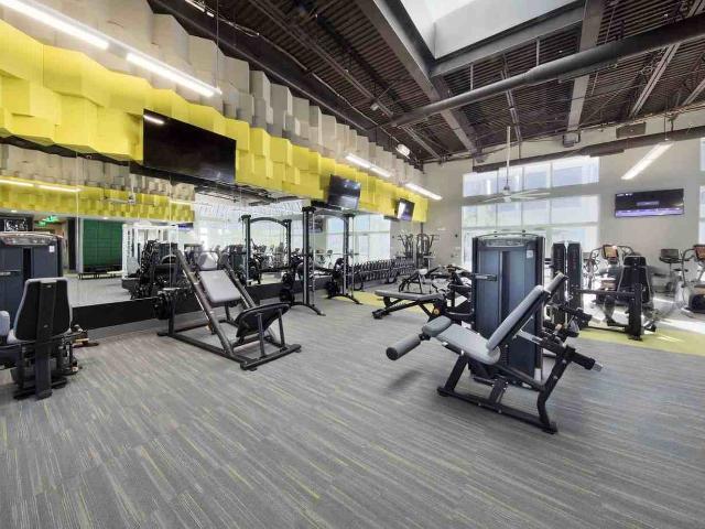 Apartment for rent in Miami, Florida